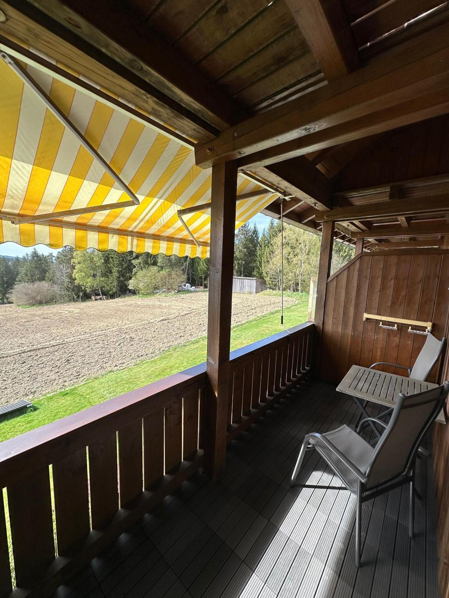 Ferienwohnung Rachel Mit Herrlichem Ausblick Rinchnach 外观 照片